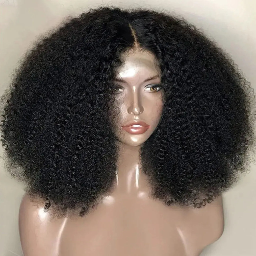 Afro Kinky Curly Wave Human Hair Wigs 